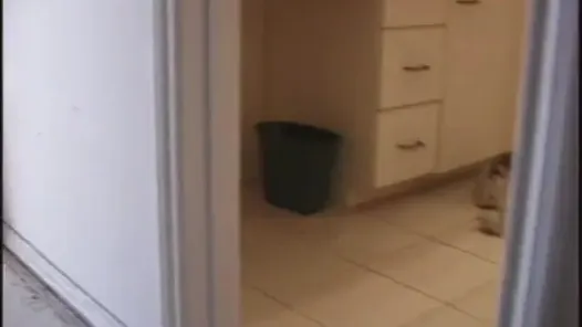 Genç fahişe berbat horoz süre Başlarken kedi yaladı