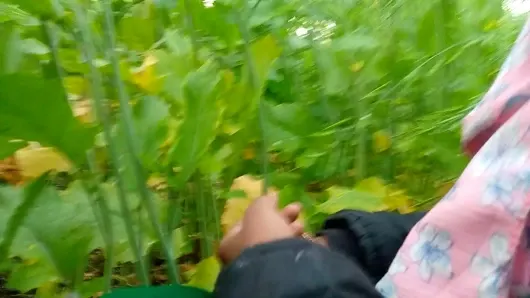 Hintli kayınvalide seks videosu xxx video