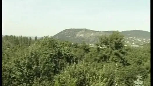 Spanner fragt ob er mit ficken darf