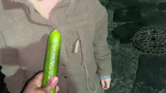 Yemek için bir salatalık, ilk önce onu kedisine soktuğu için
