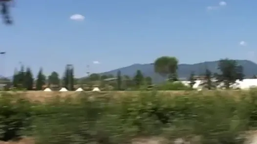 Bu yarağı al ve kaç