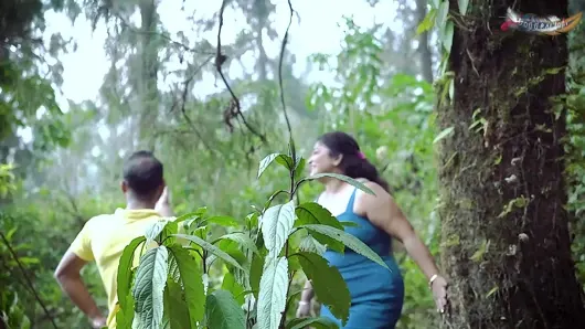 Desi yerel kız arkadaşı ormanda erkek arkadaşıyla seks yapıyor – tam film