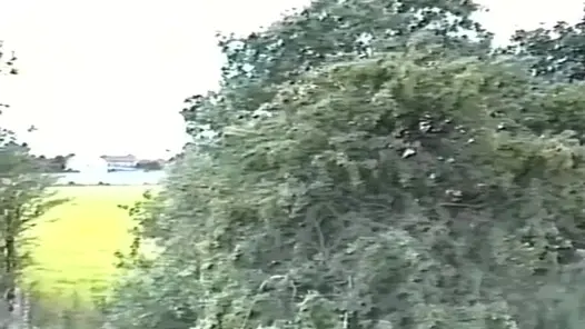 Kırbaçlama sesi