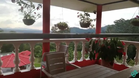 Çiftlikte ıslak amcığıma mastürbasyon yapıyor