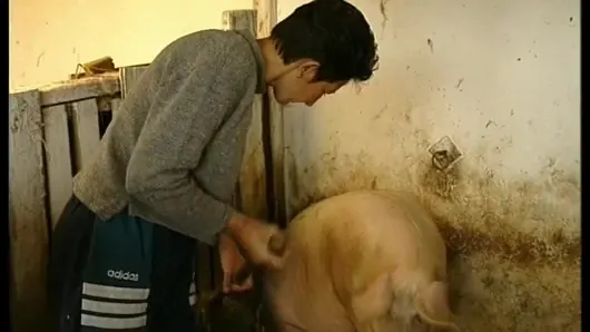 Küçük thommy yaşlı büyükanneyi çiftlikten sikiyor