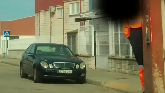 Memeli salı – halka açık teşhir