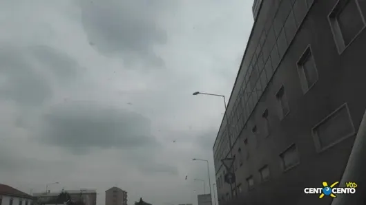 Monza’da zafer (tam film centoxcento)