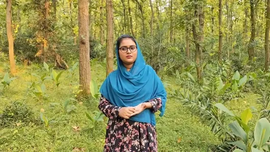 Outdoor sex. While walking in the jungle, he took an Indian Bengali beautiful girl home and fucked her hard. Video Part-01