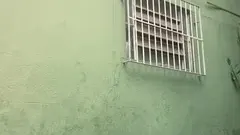 Yaramaz komşu arka bahçede gösteriş yapıyor